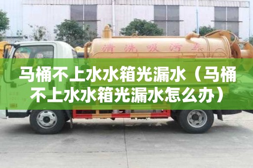 马桶不上水水箱光漏水（马桶不上水水箱光漏水怎么办）