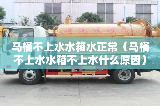 马桶不上水水箱水正常（马桶不上水水箱不上水什么原因）