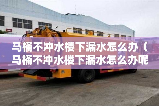 马桶不冲水楼下漏水怎么办（马桶不冲水楼下漏水怎么办呢）