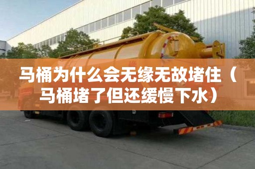 马桶为什么会无缘无故堵?。硗岸铝说够郝滤? title=