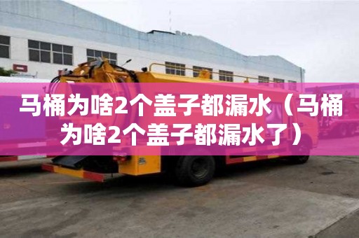 马桶为啥2个盖子都漏水（马桶为啥2个盖子都漏水了）