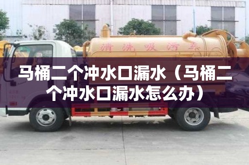 马桶二个冲水口漏水（马桶二个冲水口漏水怎么办）