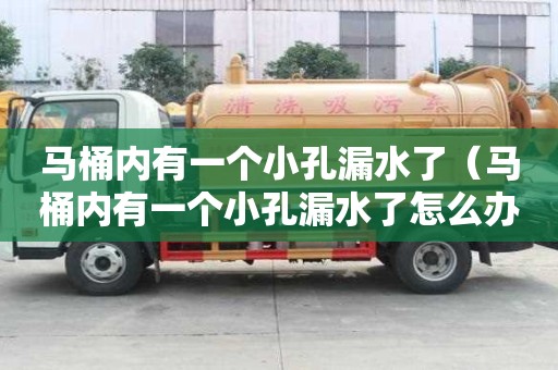 马桶内有一个小孔漏水了（马桶内有一个小孔漏水了怎么办）