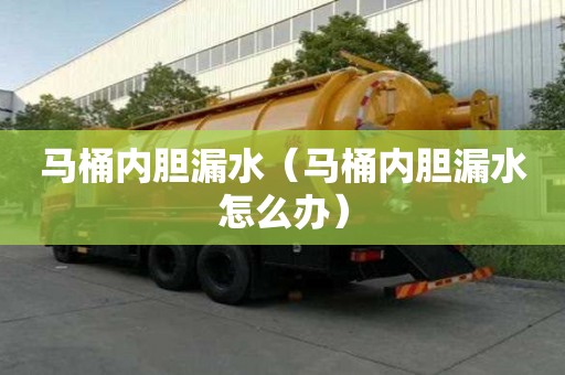 马桶内胆漏水（马桶内胆漏水怎么办）