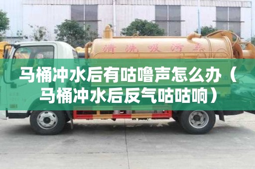 马桶冲水后有咕噜声怎么办（马桶冲水后反气咕咕响）