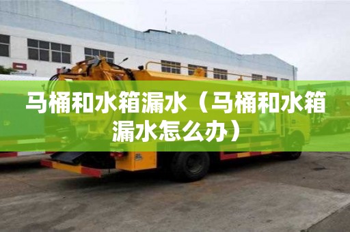 马桶和水箱漏水（马桶和水箱漏水怎么办）