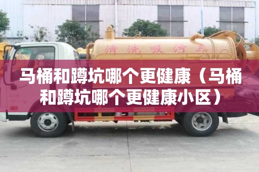 马桶和蹲坑哪个更健康（马桶和蹲坑哪个更健康小区）