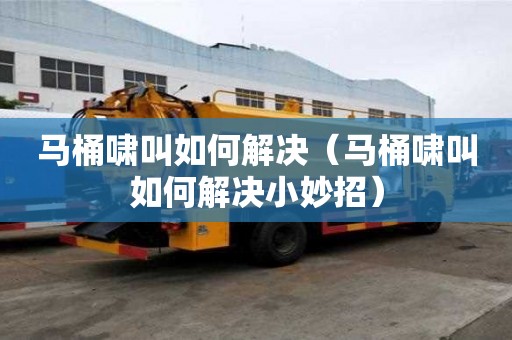 马桶啸叫如何解决（马桶啸叫如何解决小妙招）