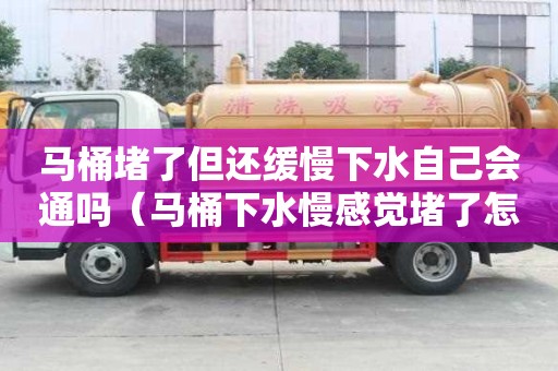 马桶堵了但还缓慢下水自己会通吗（马桶下水慢感觉堵了怎么办）