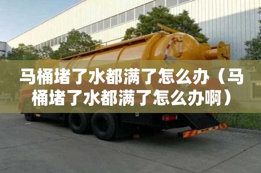 马桶堵了水都满了怎么办（马桶堵了水都满了怎么办啊）