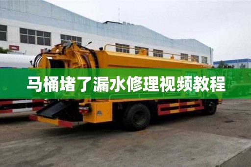 马桶堵了漏水修理视频教程