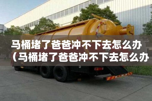 马桶堵了爸爸冲不下去怎么办（马桶堵了爸爸冲不下去怎么办呢）