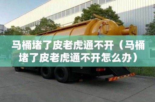 马桶堵了皮老虎通不开（马桶堵了皮老虎通不开怎么办）