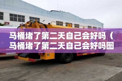 马桶堵了第二天自己会好吗（马桶堵了第二天自己会好吗图片）