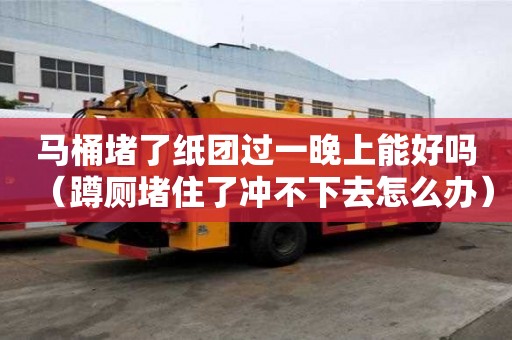 马桶堵了纸团过一晚上能好吗（蹲厕堵住了冲不下去怎么办）