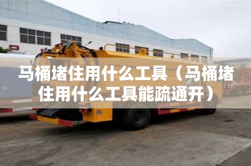马桶堵住用什么工具（马桶堵住用什么工具能疏通开）