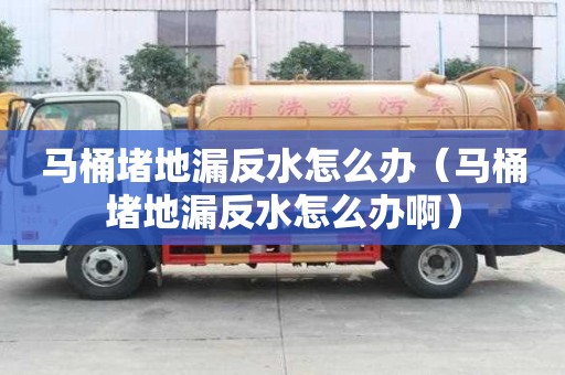 马桶堵地漏反水怎么办（马桶堵地漏反水怎么办啊）