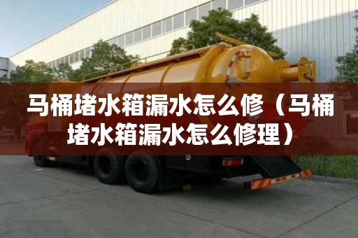 马桶堵水箱漏水怎么修（马桶堵水箱漏水怎么修理）