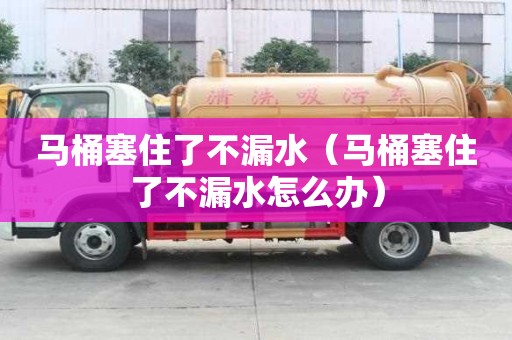 马桶塞住了不漏水(马桶塞住了不漏水怎么办) 马桶塞住了不漏水(马桶塞住了不漏水怎么办)