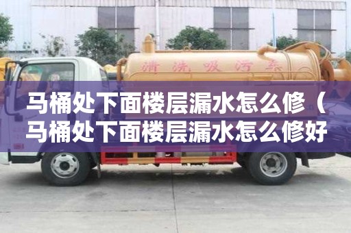 马桶处下面楼层漏水怎么修（马桶处下面楼层漏水怎么修好）
