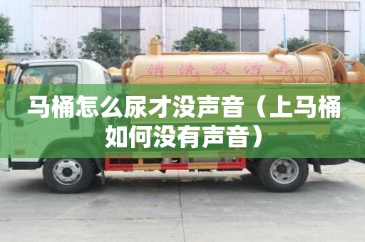 马桶怎么尿才没声音（上马桶如何没有声音）