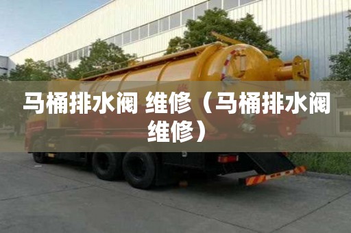 马桶排水阀 维修（马桶排水阀维修）