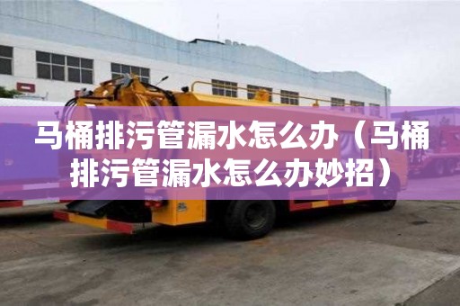 马桶排污管漏水怎么办（马桶排污管漏水怎么办妙招）