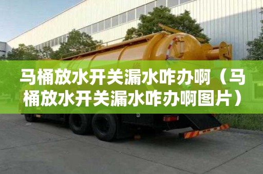 马桶放水开关漏水咋办啊（马桶放水开关漏水咋办啊图片）