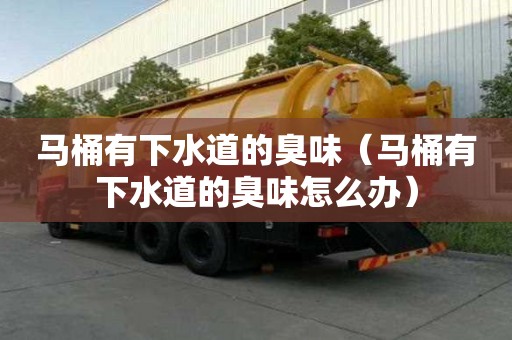 马桶有下水道的臭味(马桶有下水道的臭味怎么办) 马桶有下水道的臭味(马桶有下水道的臭味怎么办)