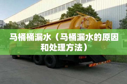 马桶桶漏水（马桶漏水的原因和处理方法）