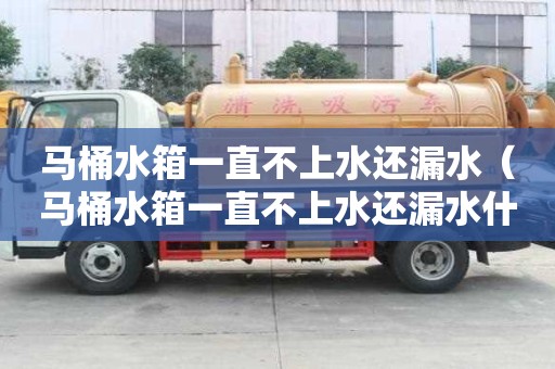 马桶水箱一直不上水还漏水（马桶水箱一直不上水还漏水什么原因）