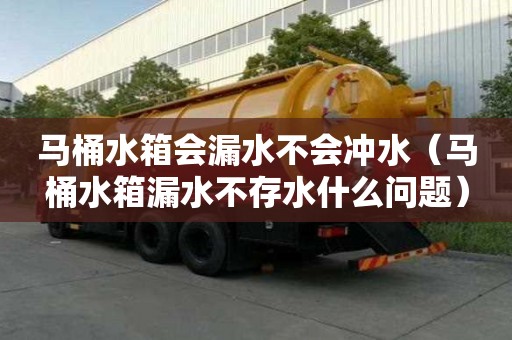 马桶水箱会漏水不会冲水（马桶水箱漏水不存水什么问题）