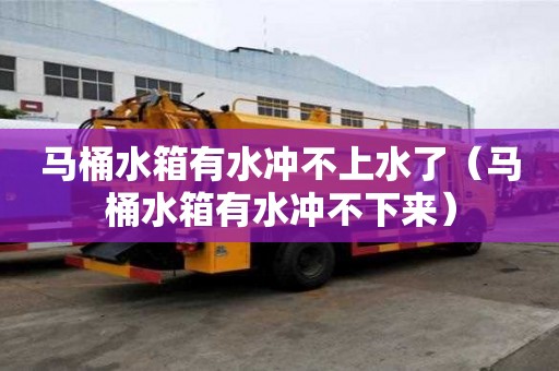 马桶水箱有水冲不上水了（马桶水箱有水冲不下来）