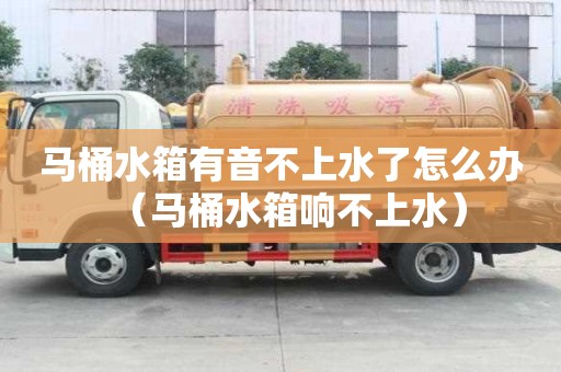 马桶水箱有音不上水了怎么办（马桶水箱响不上水）