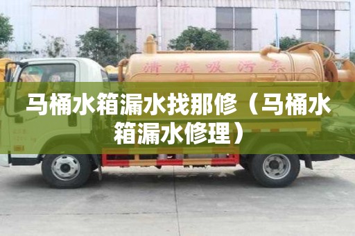 马桶水箱漏水找那修(马桶水箱漏水修理) 马桶水箱漏水找那修(马桶水箱漏水修理)