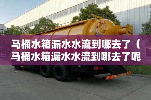 马桶水箱漏水水流到哪去了（马桶水箱漏水水流到哪去了呢）