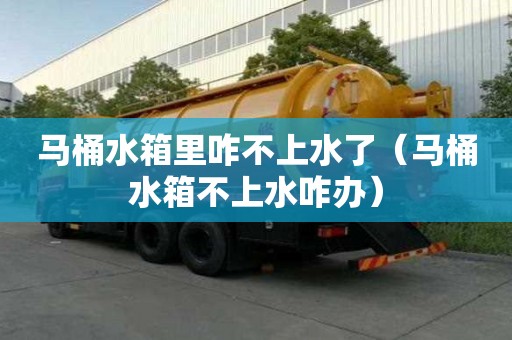 马桶水箱里咋不上水了（马桶水箱不上水咋办）