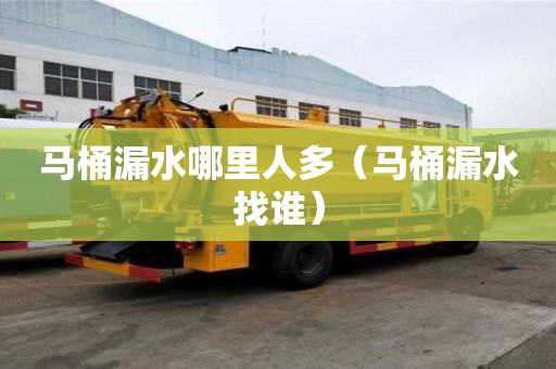 马桶漏水哪里人多（马桶漏水找谁）