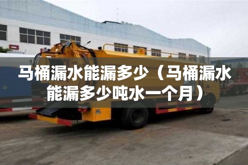 马桶漏水能漏多少（马桶漏水能漏多少吨水一个月）