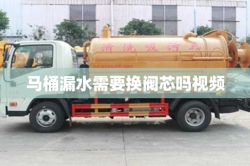 马桶漏水需要换阀芯吗视频