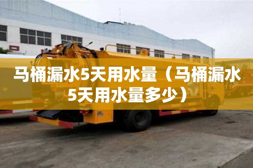 马桶漏水5天用水量（马桶漏水5天用水量多少）