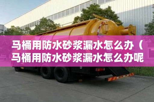 马桶用防水砂浆漏水怎么办（马桶用防水砂浆漏水怎么办呢）