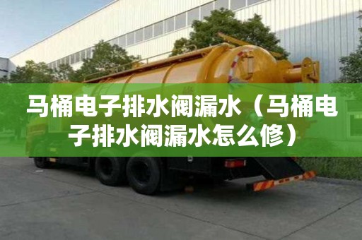 马桶电子排水阀漏水（马桶电子排水阀漏水怎么修）