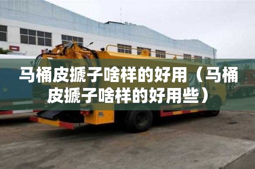 马桶皮搋子啥样的好用（马桶皮搋子啥样的好用些）