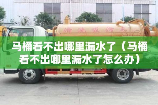 马桶看不出哪里漏水了（马桶看不出哪里漏水了怎么办）