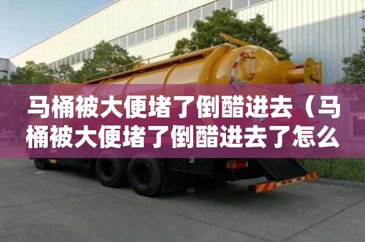 马桶被大便堵了倒醋进去（马桶被大便堵了倒醋进去了怎么办）