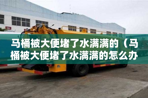 马桶被大便堵了水满满的(马桶被大便堵了水满满的怎么办) 马桶被大便堵了水满满的(马桶被大便堵了水满满的怎么办)