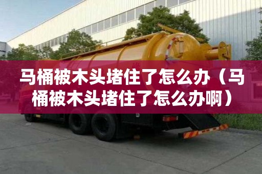 马桶被木头堵住了怎么办（马桶被木头堵住了怎么办啊）