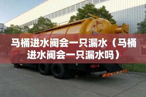 马桶进水阀会一只漏水（马桶进水阀会一只漏水吗）