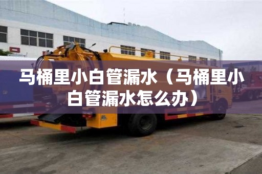 马桶里小白管漏水（马桶里小白管漏水怎么办）